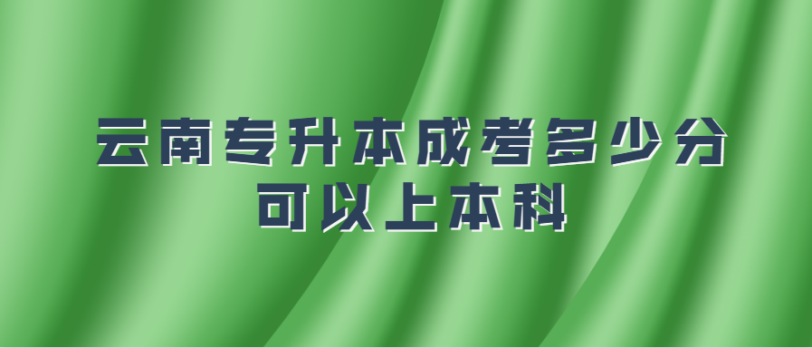 云南专升本成考多少分可以上本科