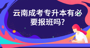 云南成考专升本有必要报班吗?