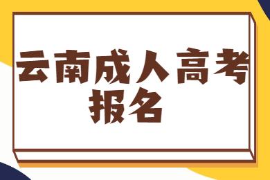 云南临沧成人高考报名