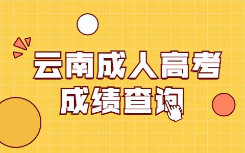 云南成人高考成绩查询