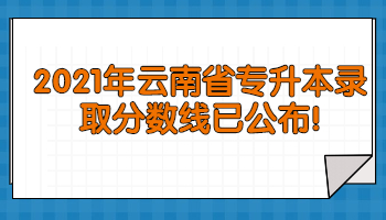 云南省专升本录取分数线