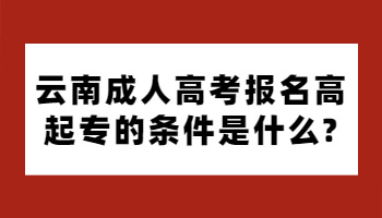 云南成人高考报名高起专