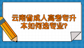 云南省成人高考专升本