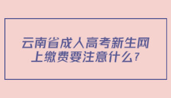 云南省成人高考新生网上缴费