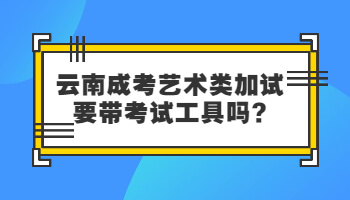 云南成考艺术类加试