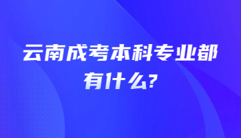 云南成考本科专业都有什么