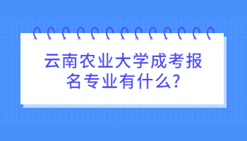 云南农业大学成考报名专业