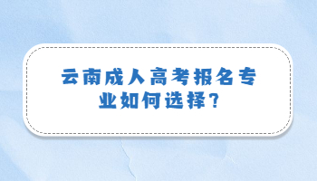 云南成人高考报名专业