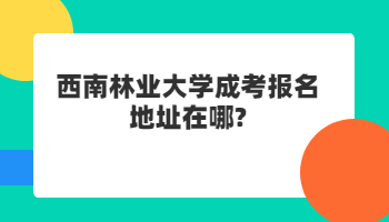 西南林业大学成考报名