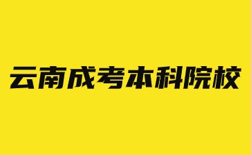 2024年云南省成考有哪些本科院校可以选择？