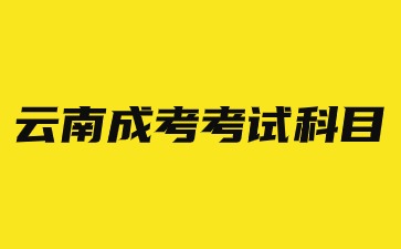 2024年云南省成考考哪些考试科目？