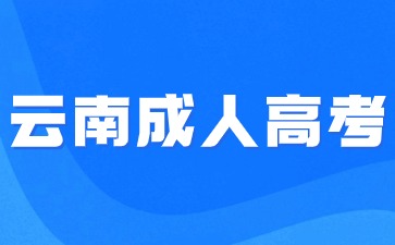 2024云南民族大学函授报名方式？