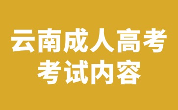 2024年云南成人高考本科考试有哪些考试内容？