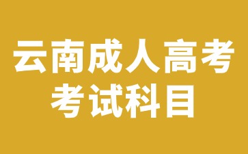 2024年云南成人高考考试一定要考英语科目吗？