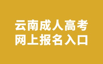 2024年云南成人高考网上报名入口官网