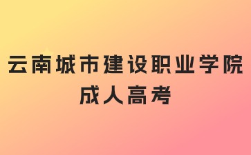 2024年云南城市建设职业学院成人高考考试科目