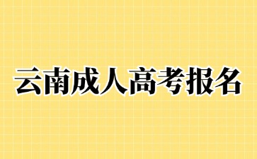 2024年云南成人高考报名时间在那一天？