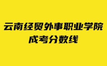 2024年云南经贸外事职业学院成考录取分数线？