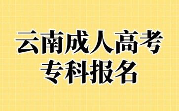 2024年云南成考专科报名专业有哪些推荐？