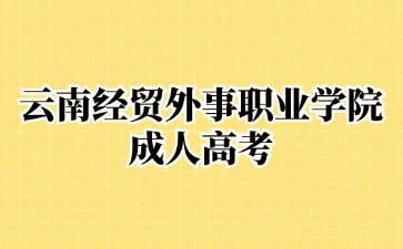 2024年云南经贸外事职业学院成考网上报名流程？