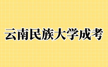 2024年云南民族大学成人高考网上报名流程？