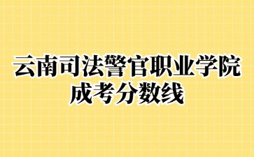 2024年云南经济管理学院成考报名入口