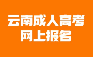 2024年云南成人高考网上报名进入方法？