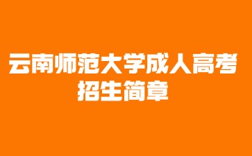 2024年云南师范大学成人高考招生简章