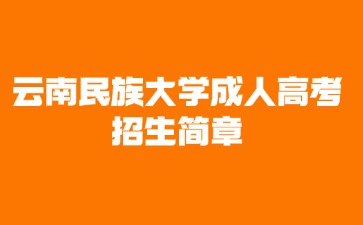 2024年云南民族大学成人高考招生简章