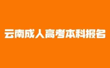 2024年云南成考本科报名要提供哪些材料？