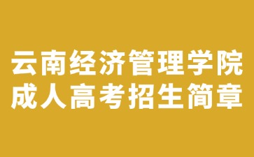 2024年云南经济管理学院成人高考招生简章