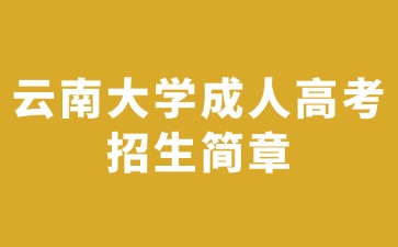 2024年云南大学成人高考招生简章