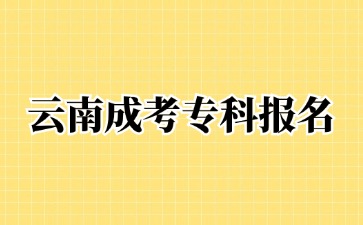 2024年云南成考专科可以报名哪些专业？