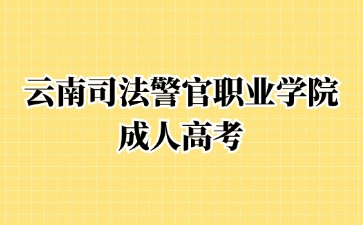 2024年云南司法警官职业学院成考本科报名需要缴纳多少费用?