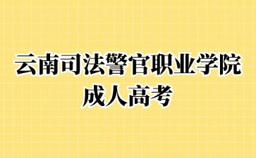 2024年云南司法警官职业学院成考毕业学历怎么查询？