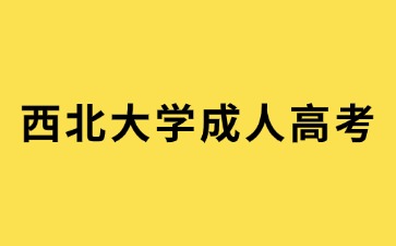 2024年西北大学成人高考报名要提交哪些材料？